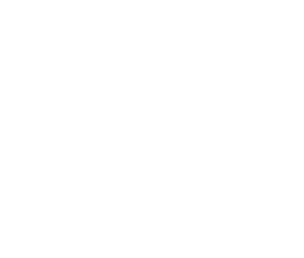 Logo Metro’nHome